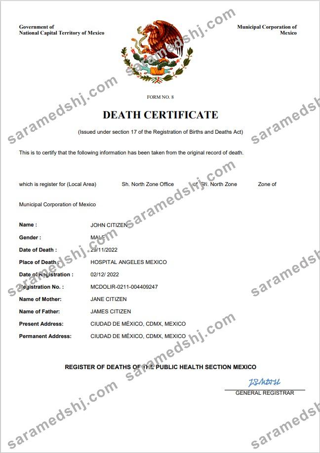 Mexico vital record death certificate Word and PDF template